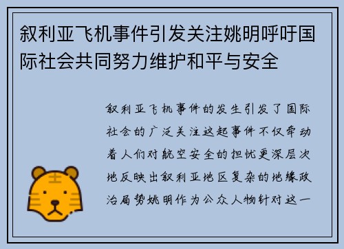 叙利亚飞机事件引发关注姚明呼吁国际社会共同努力维护和平与安全